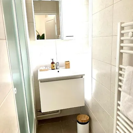 Le Jardin Roosevelt Gare De Apartment Reims